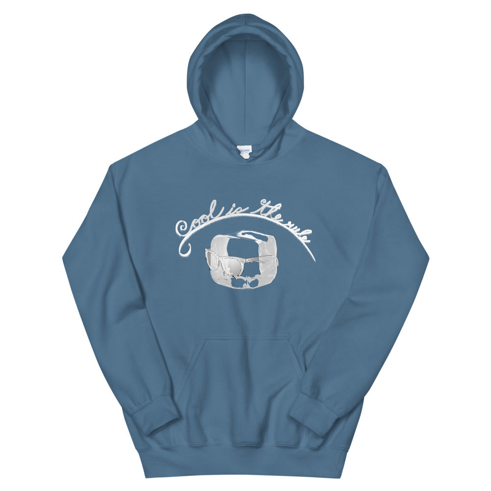 Cool is the Rule Hoodie