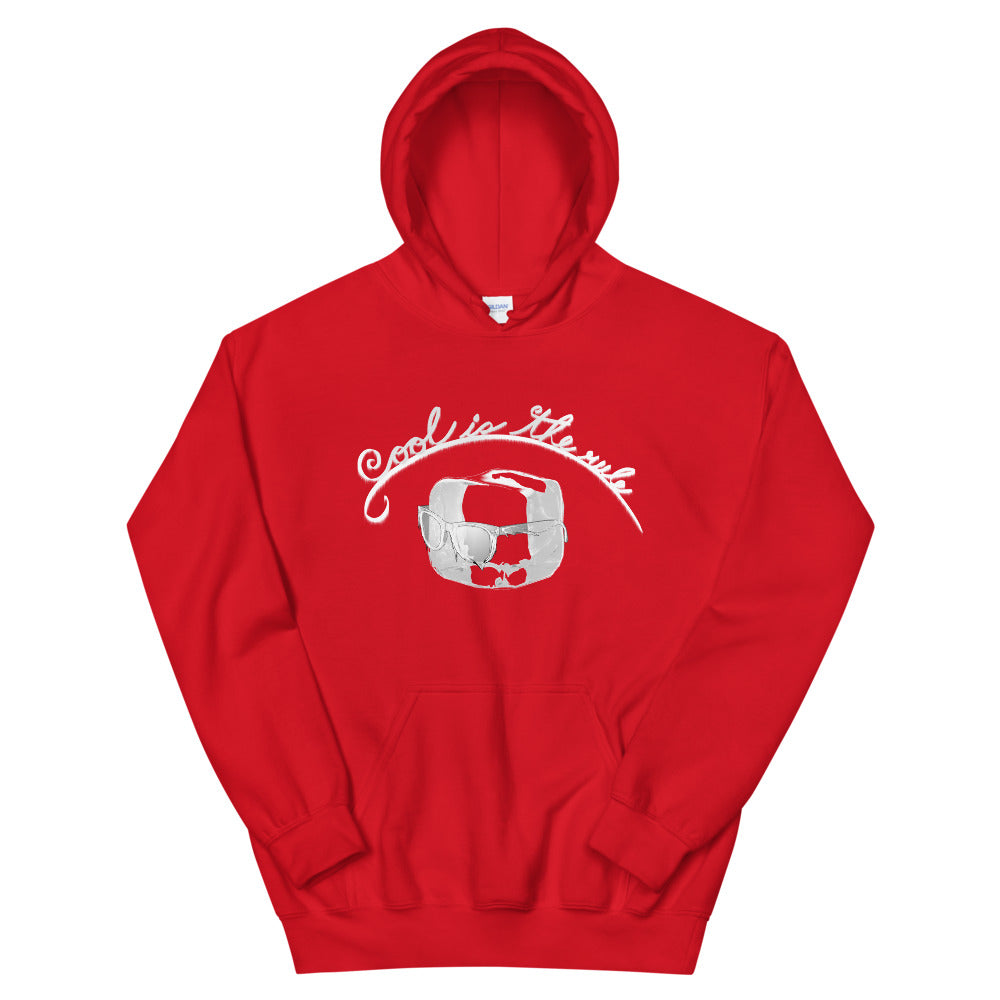 Cool is the Rule Hoodie